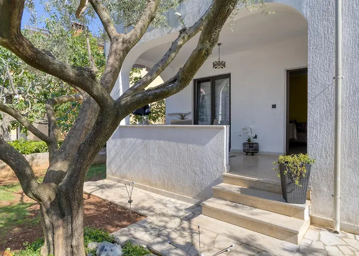 Πανσιόν Cintya 3*